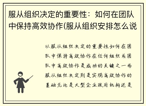 服从组织决定的重要性：如何在团队中保持高效协作(服从组织安排怎么说)