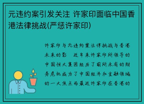 元违约案引发关注 许家印面临中国香港法律挑战(严惩许家印)