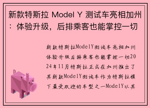 新款特斯拉 Model Y 测试车亮相加州：体验升级，后排乘客也能掌控一切